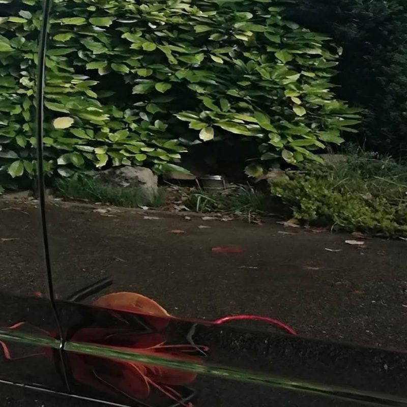 AFTER - Rolls Royce - Machine Polishing2