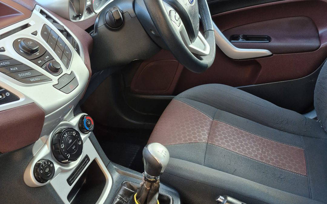 Car Mould Removal & Interior Sanitisation