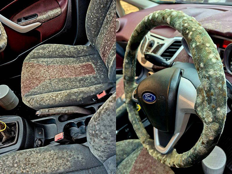 Car Mould Removal And Interior Sanitisation